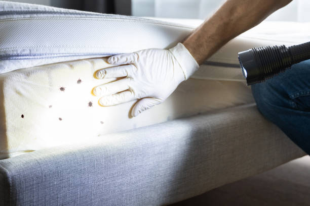 Best Pest Prevention Services  in Glendale, OH