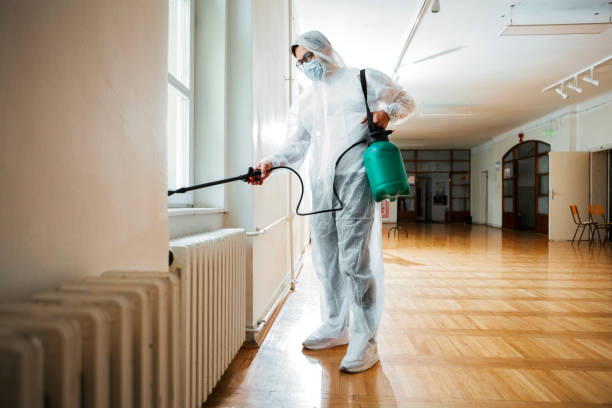 Best Wasp Removal Services  in Glendale, OH