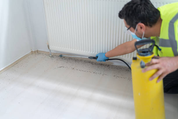 Best Affordable Pest Control Services  in Glendale, OH